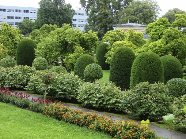Well-manicured garden featuring shaped bushes and colorful flower beds.