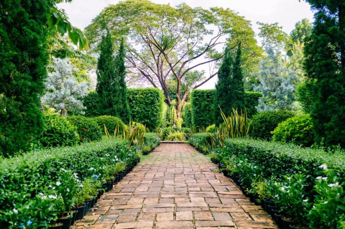 Lush garden pathway lined with greenery and trees, leading to a serene focal point.